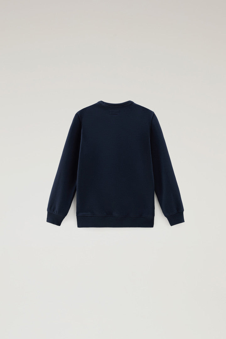 Boys' Pure Cotton Crewneck Sweatshirt with Print (Melton Blue) - Detail View 1