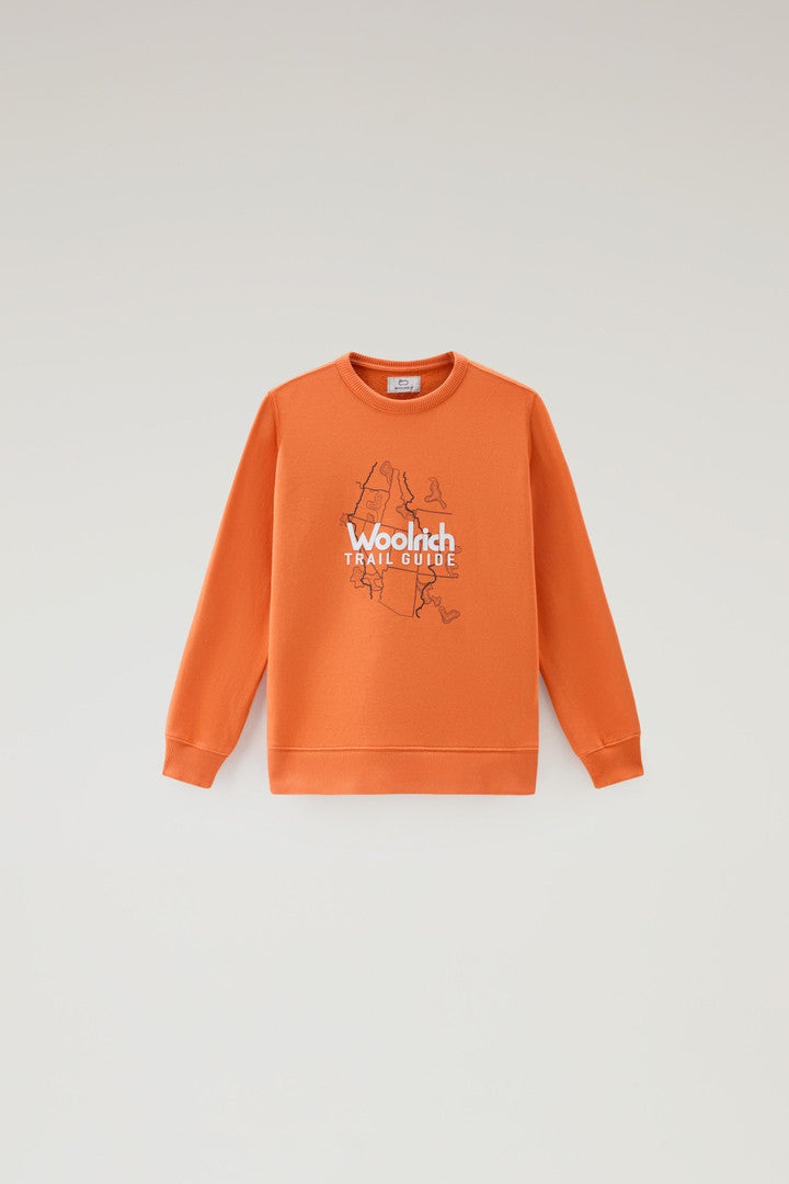 Boys' Pure Cotton Crewneck Sweatshirt with Print (Melton Blue) - Detail View 5