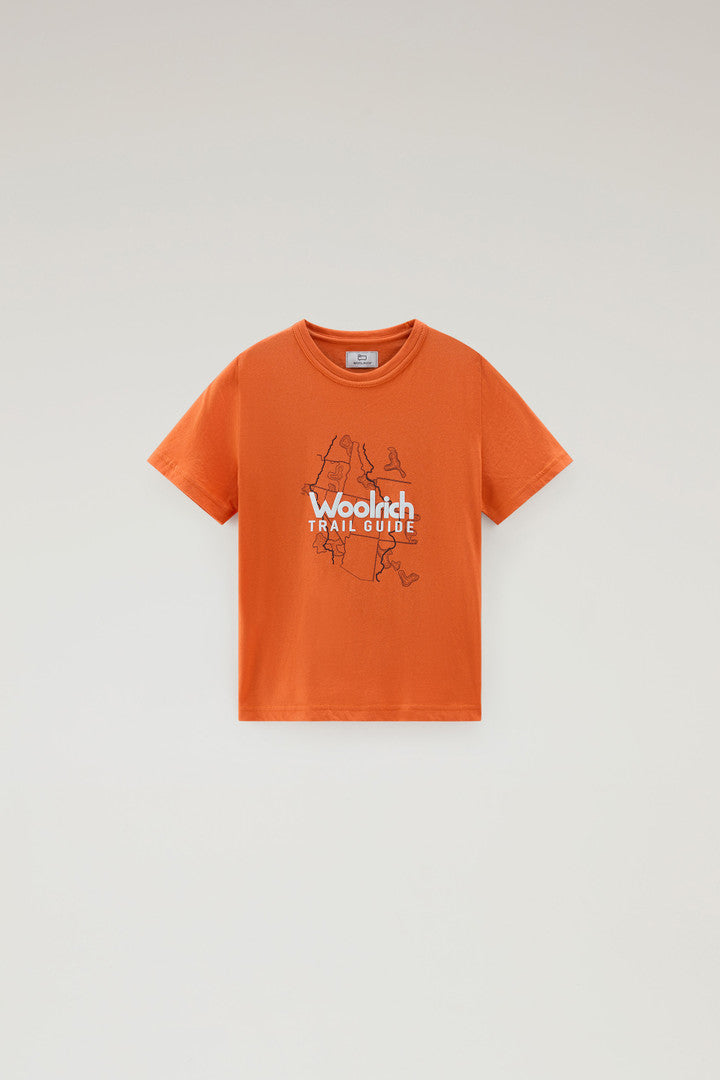 Boys' Pure Cotton T-Shirt with Graphic Print (Sea Breeze) - Detail View 5