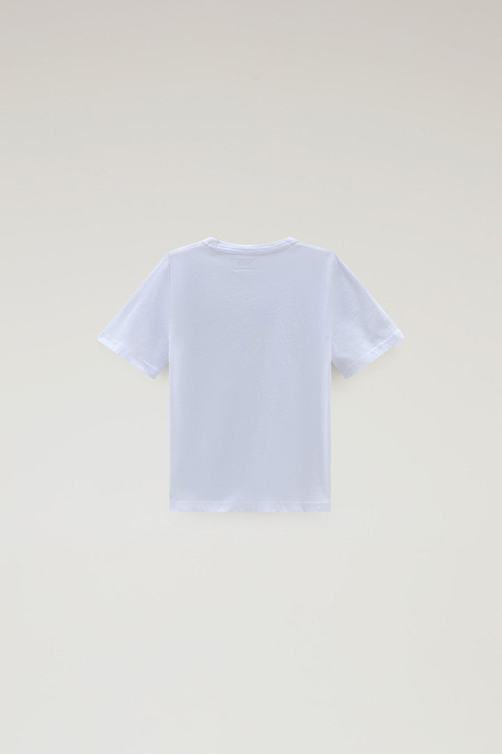 Boys' Pure Cotton T-Shirt with Graphic Print (Sea Breeze) - Detail View 2